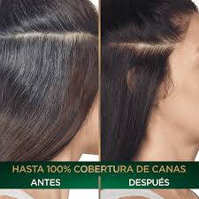 Shampoo Cubre Canas Sachetx10