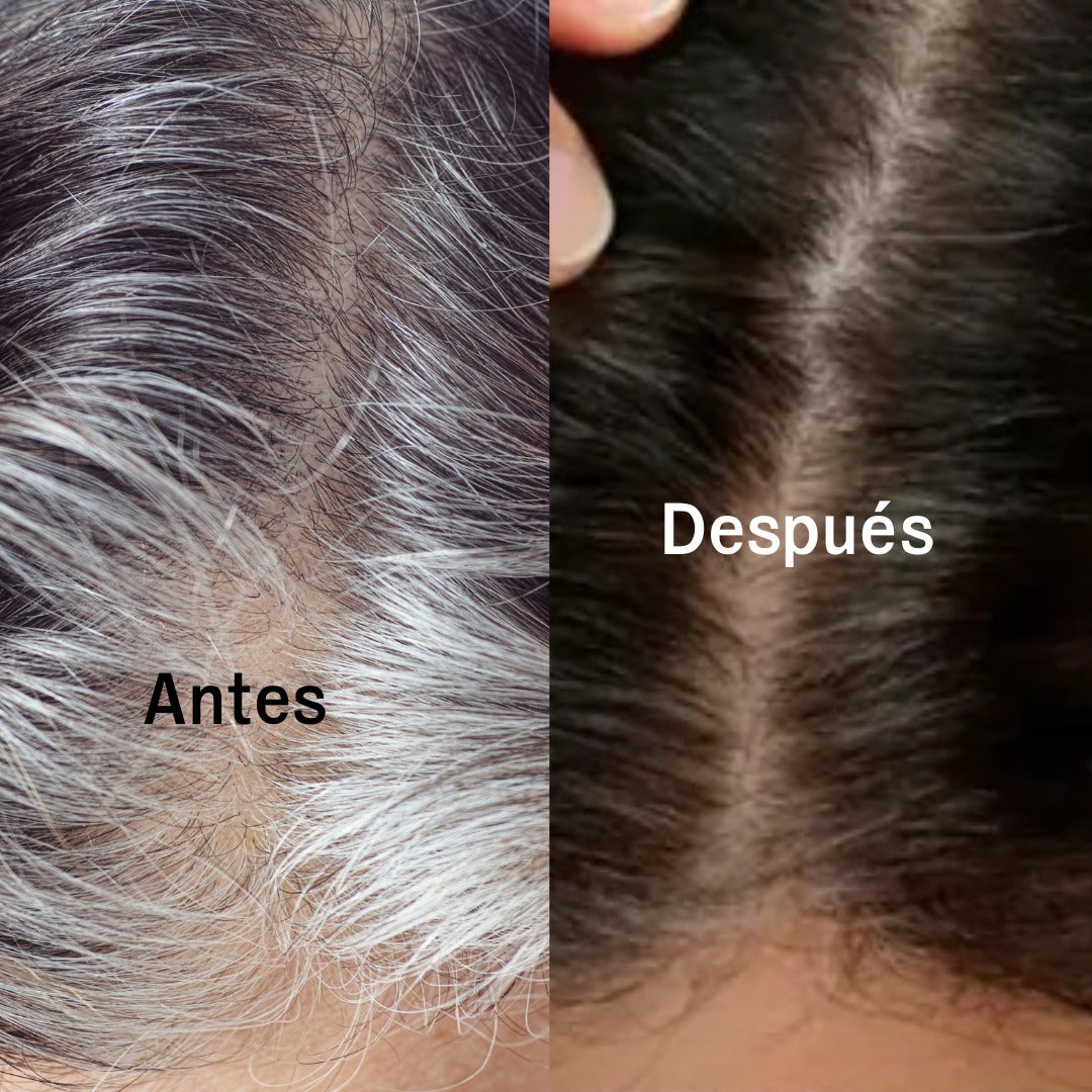 Shampoo Cubre Canas